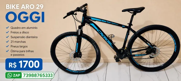Bicicleta Oggi aro 29