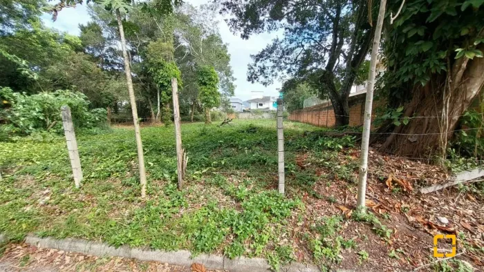 Terreno plano no Campeche central em Florianópolis SC