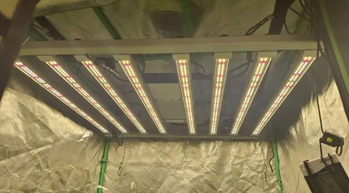 Lâmpada 600w grow 1x1
