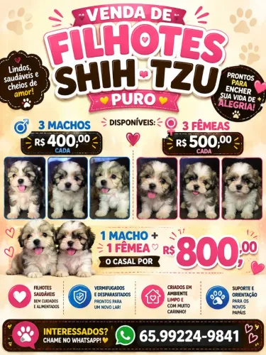 Cachorro ?