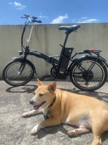 Vendo Bike elétrica (usada)