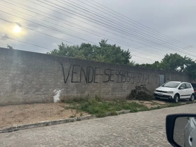 Vendo 