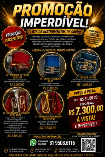 LOTE DE INSTRUMENTOS DE SOPRO Promoção