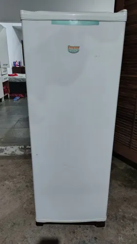 Freezer vertical