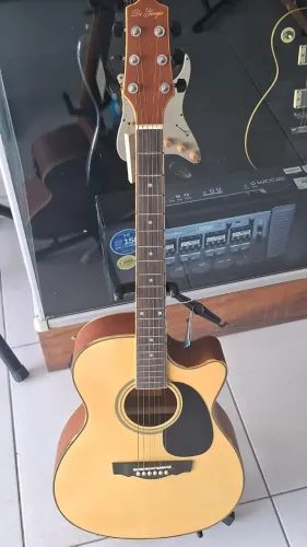 Violão Di Giorgio Natural Fosco