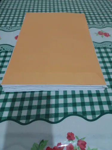 50 Envelopes Papel A4 - (Branco e Pardo)
