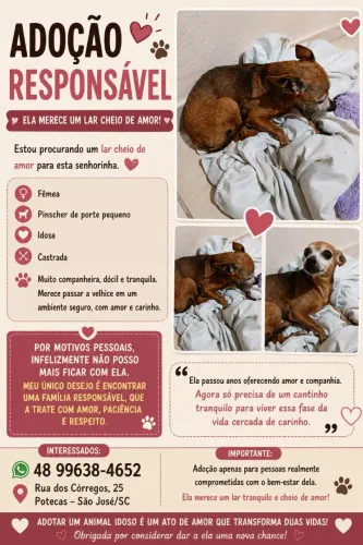 Doação 