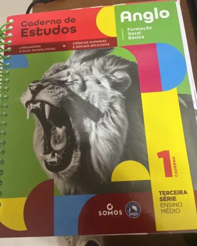 Livro de estudos sistema anglo exatas