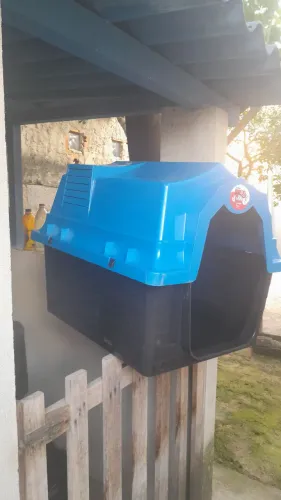 Casinha para Cães N4 porte médio 