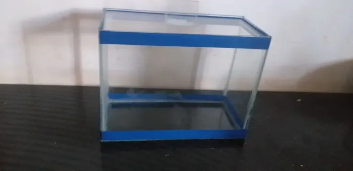 Aquário 4 litros ideal para peixe beta