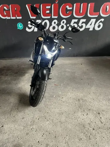 FAZ15 2024