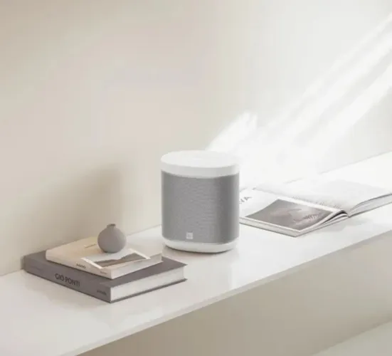 ? OPORTUNIDADE! Caixa Assistente Google Xiaomi ?