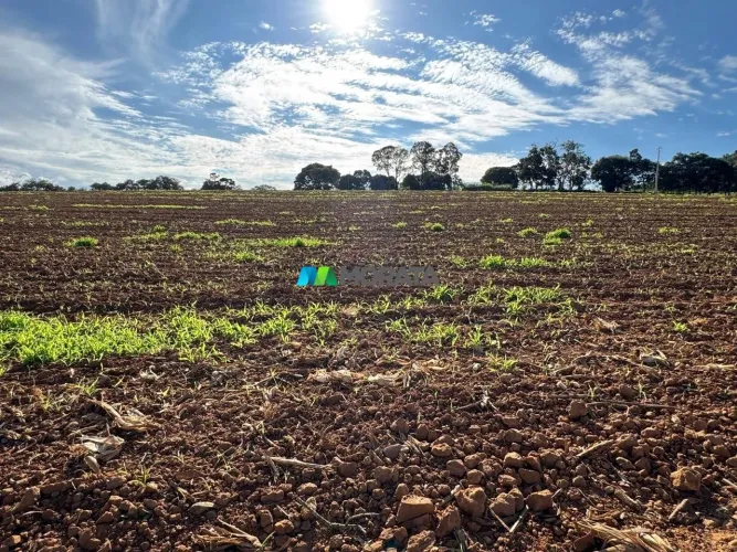 FAZENDA À VENDA - 86 HECTARES - NAZARENO (MG)