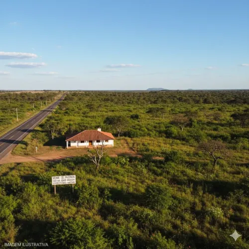 OPORTUNIDADE: 620 ha em Grão Mogol - A Nova Fronteira do Café
