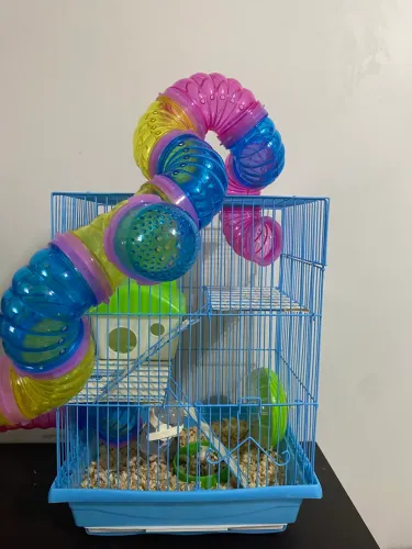 Gaiola cm hamster