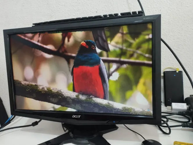 Monitor Acer 19 polegadas VGA (veja as fotos)