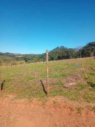 Lote 