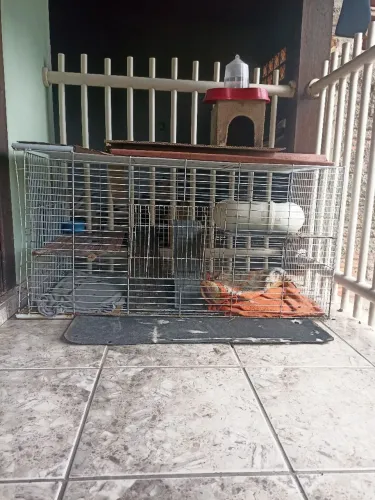 Vende-se gaiola Grande 