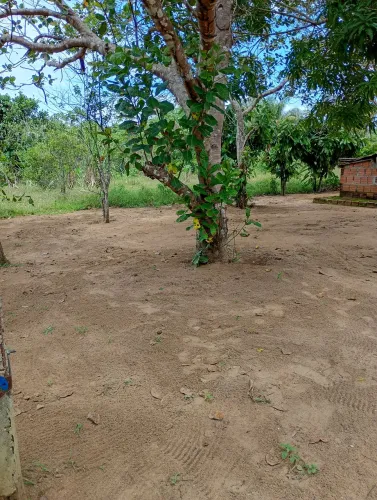 Trabalhador Rural solteiro...