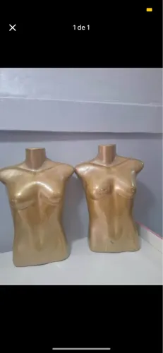 vendo busto