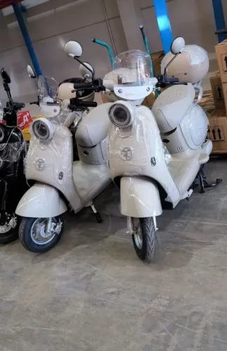 Scooter Elétrica Bee 1000Watts