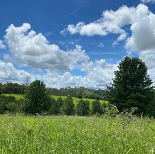 Lote/Terreno para venda possui 20000 metros quadrados em Campo Largo - Jarinu - São Paulo