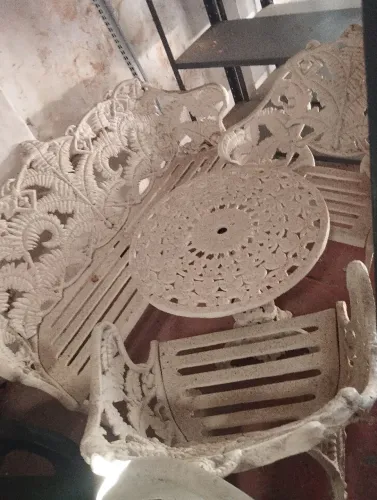 Samambaia de ferro