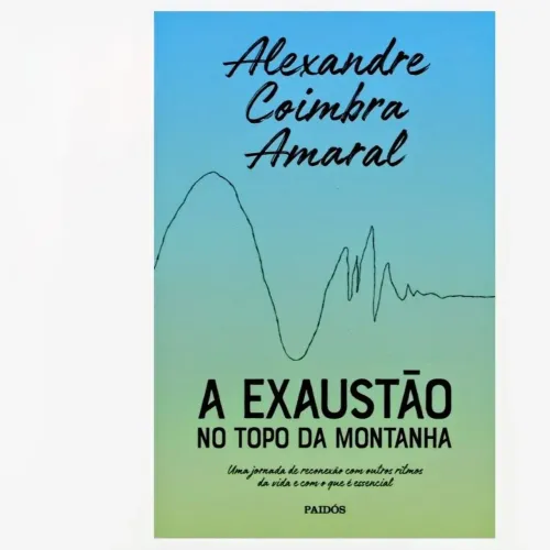 Livro A Exaustão No Topo Da Montanha, De Coimbra, Alexandre, Editora Paidós, 2021