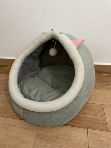 Caminha pet