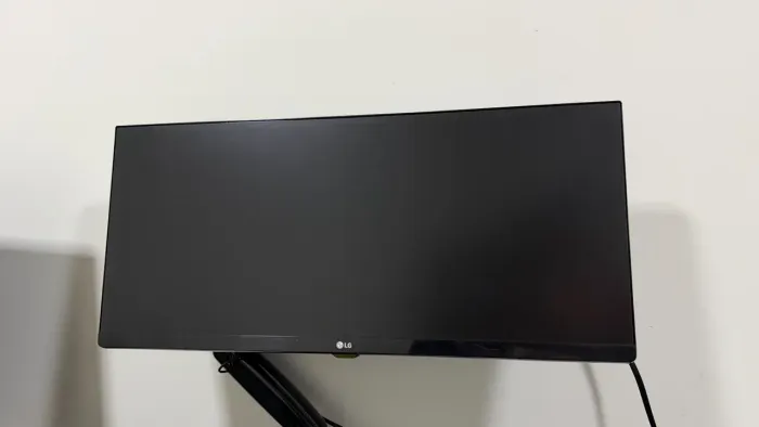 Monitor LG UltraWide 29? IPS Full HD 29UM69G-B - Excelente Estado
