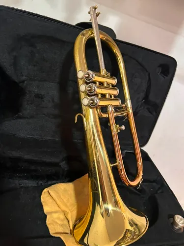 Flughorn usado em perfeito estado 