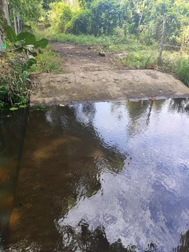 fazenda com 125 hectares plana e com 80% desmatada top para condomínio fechado