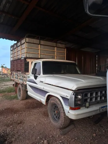 Caminhonete F-1000