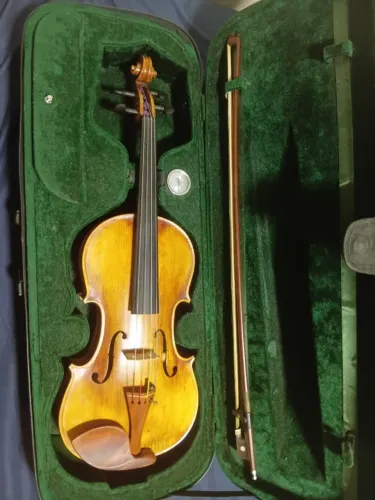 Viola Eagle VA-150 tamanho 40 , ajustada cordas Mauro Calixto acompanha case e arco.
