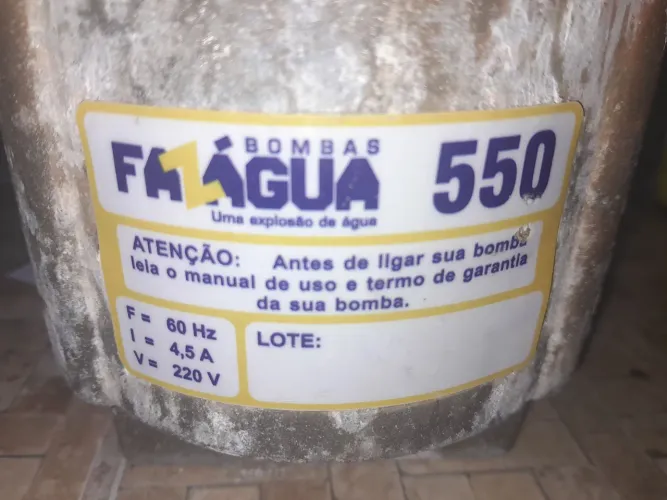 Bomba de água sapo