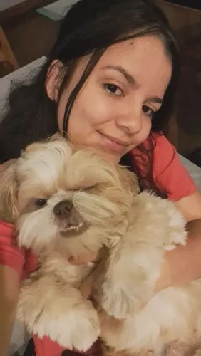 Petsitter - Cuido de animais ( gatos e cachorros)