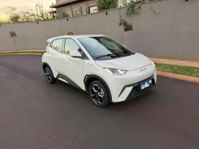 BYD Dolphin Mini (Elétrico) 2024