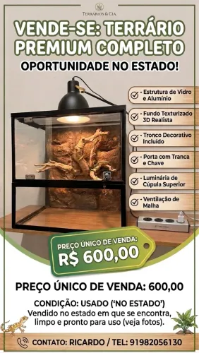 Terrário para anfíbios e répteis 