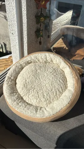 Caminha nova de pet