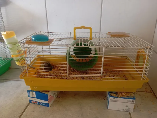 Gaiola de Hamster