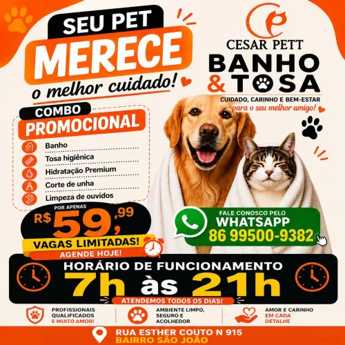 Combo promocional de banho e tosa higiênica 