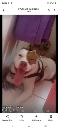 Doacao