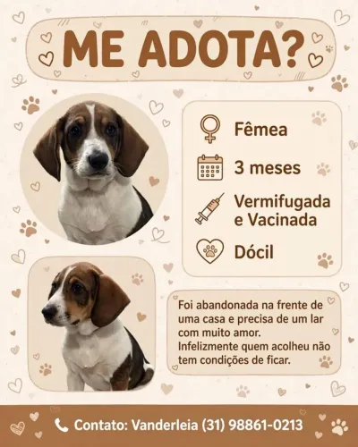 Doação de cachorro
