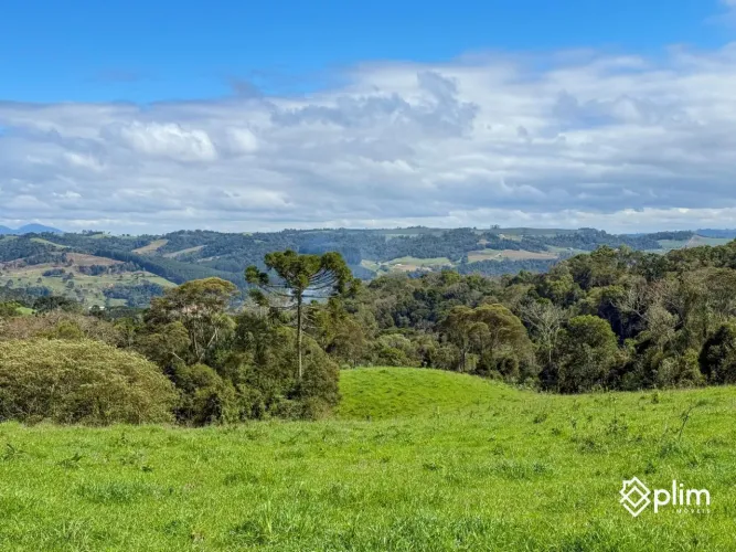 Terreno para Sítio com 31.000m2 na Santa Bárbara - Alfredo Wagner - SC