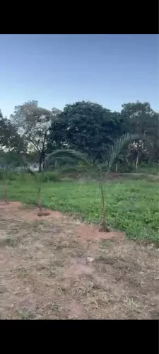 Chácara Próximo a cachoeira do Itiquira em formosa. Dependendo parcelo na promissória 