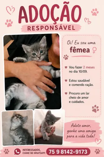Doação