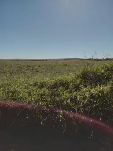 Fazenda de 352 alqueires em Niquelandia-Go 
