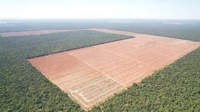 Fazenda de Arrendamento Soja 936 hec em Porto dos Gaúchos MT.