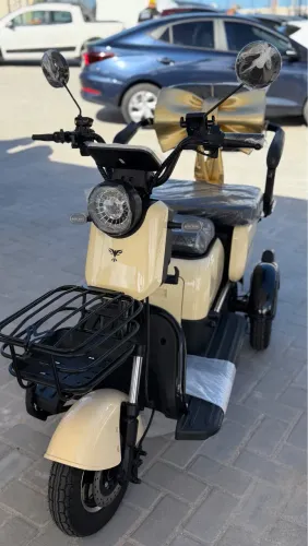 Triciclo elétrico moto elétrica