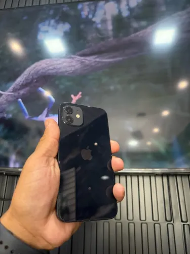 iPhone 12
